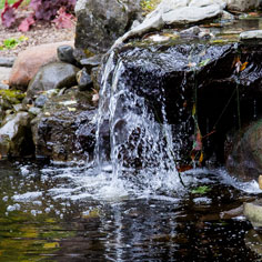 bassin d'eau